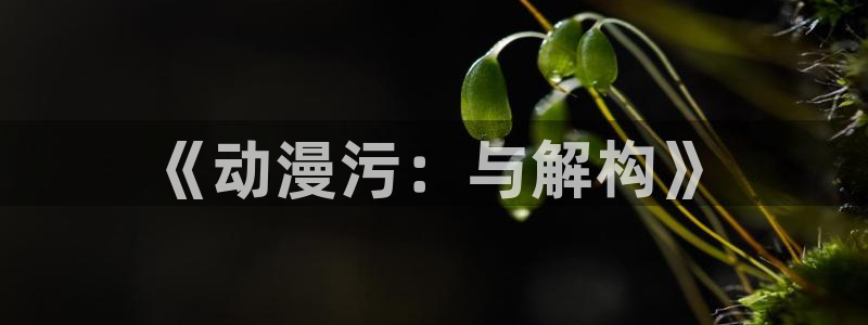 3d动漫天堂：《动漫污：与解构》